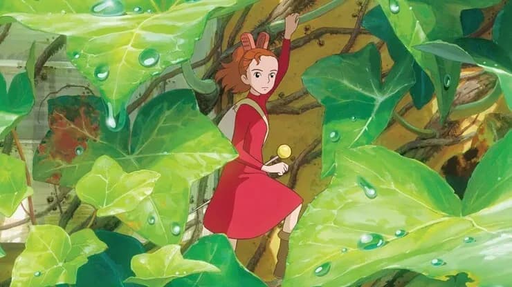 Тут картинка не загрузилась