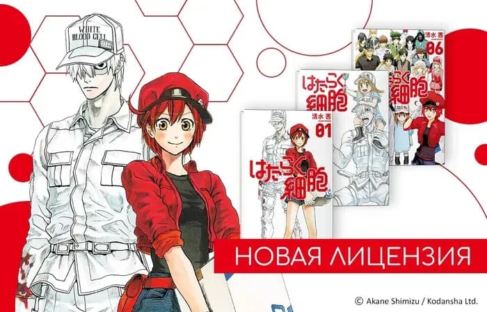 Тут картинка не загрузилась