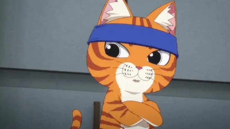 Тут картинка не загрузилась