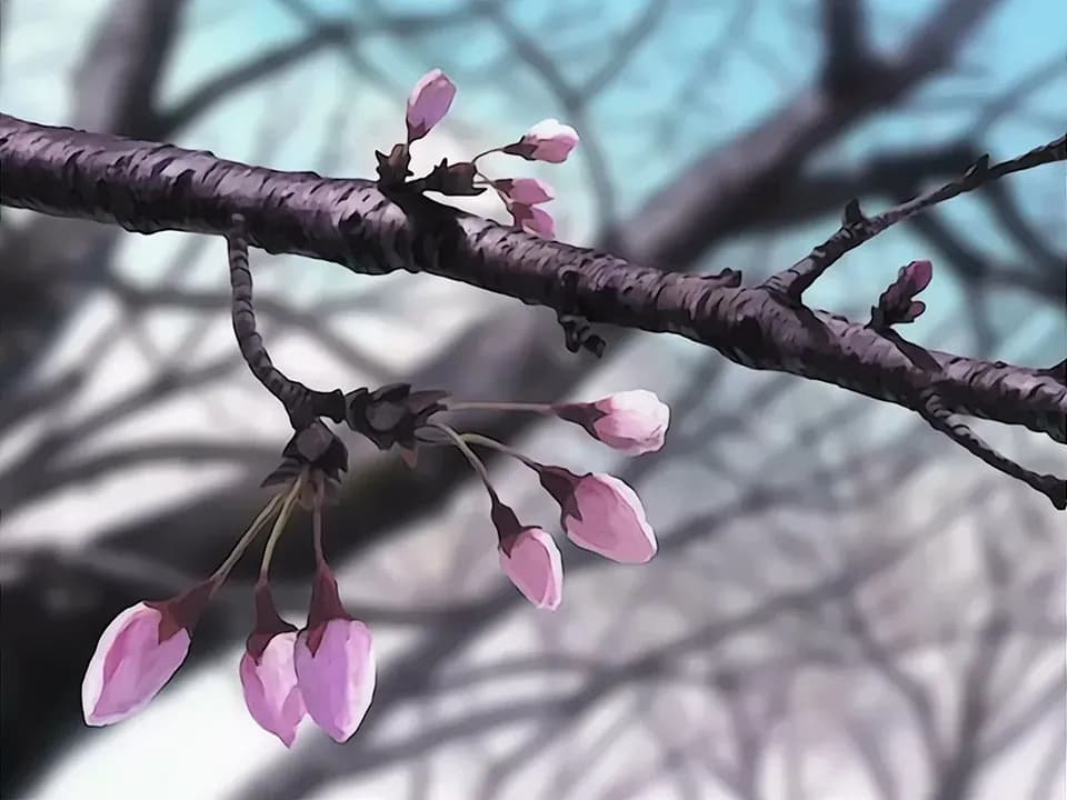 Любовь и Хина: Весна screenshot 1