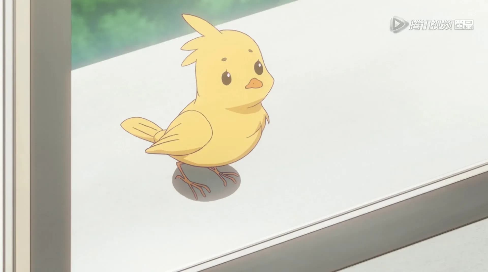 Белые ночи screenshot 2