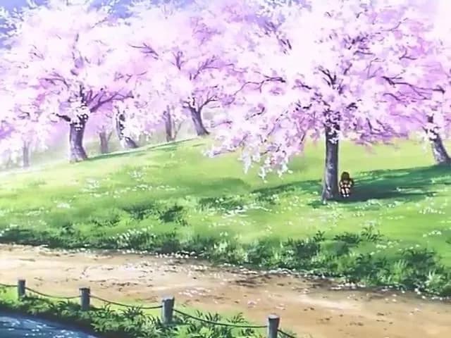 С днем рождения! Жизнь как вспышка screenshot 1