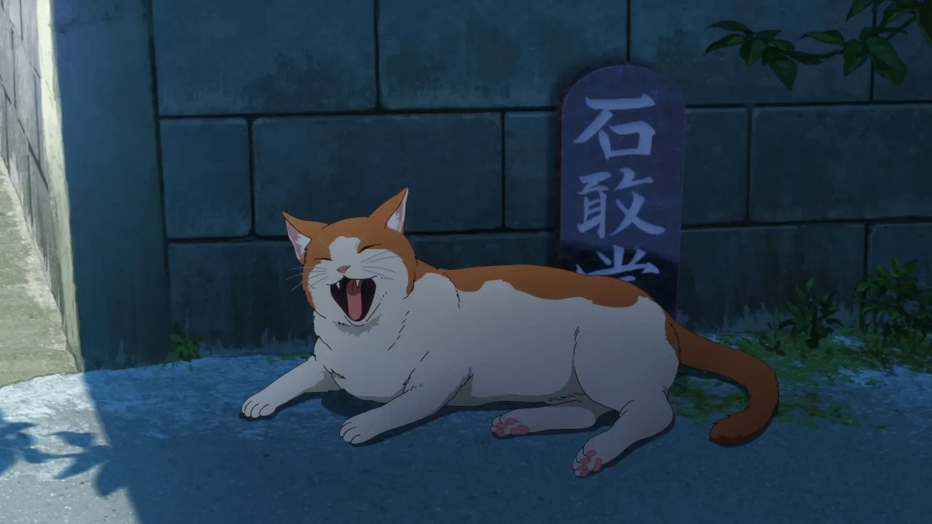 Акватоп белого песка screenshot 2