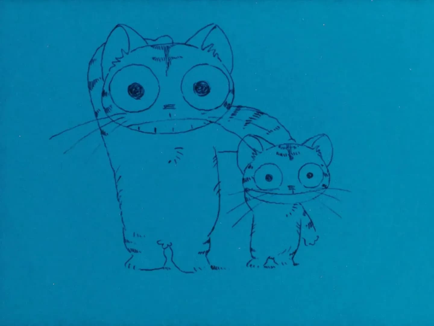 Морской котик screenshot 1